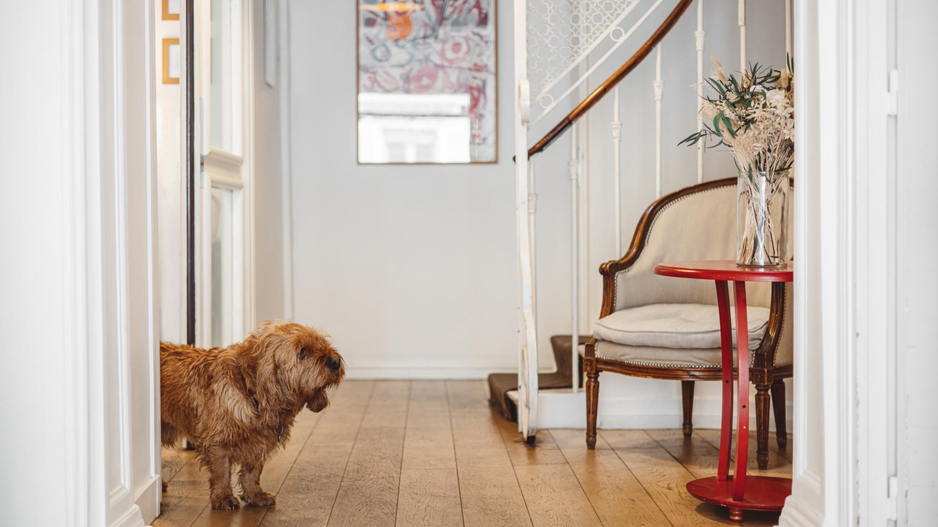 Hôtel Arvor - Entrée