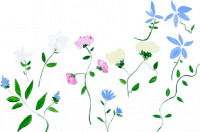 Hôtel Arvor - Fleurs